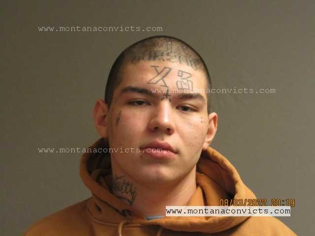 Gaige Alexander Caye - 3026182