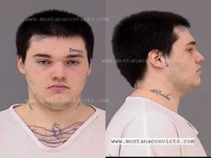 Ethan Alan Williams - 3026396