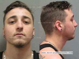 Shepard Harley Webster - 3023031