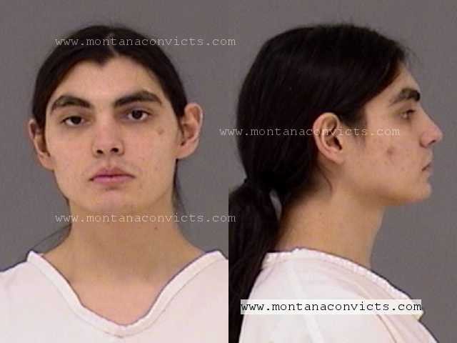 Tristan Cougar Rose - 3023077