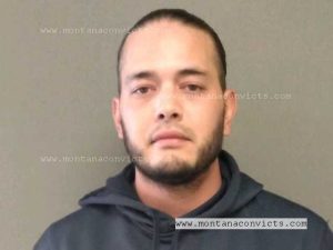 Sheldon Grandchamp - 3023454