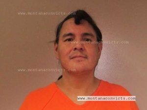 Gabriel Steven Little Dog - 3023540