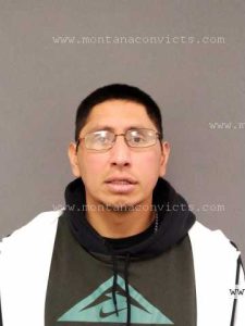 Nolan Rirey Real Bird - 3023720