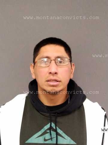 Nolan Rirey Real Bird - 3023720