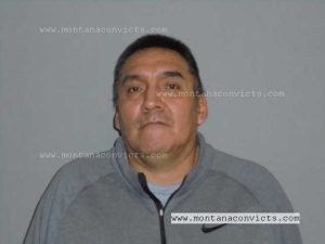 Kelly Bull Child - 3023803