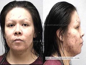 Kami Shea Kelligh Bad Bear - 3024280