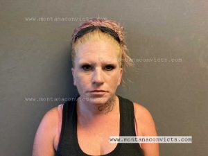 Ciesan Lizan Cable - 3024282