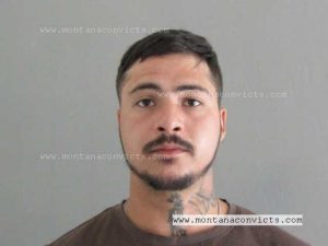 Harvey Joshua Herrig - 3024350