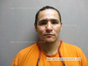 Cameron Joel Other Bull - 3024577