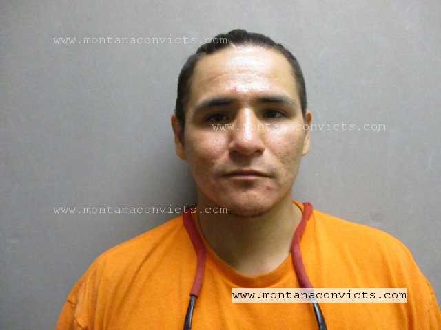 Cameron Joel Other Bull - 3024577