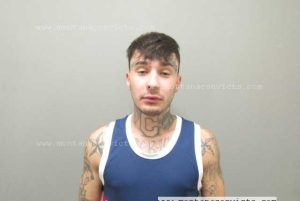 Ely Mason Scott Williams - 3024708