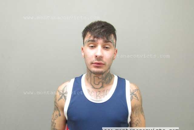 Ely Mason Scott Williams - 3024708