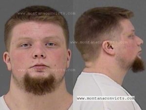 Rowdy Eric Stengar - 3024747