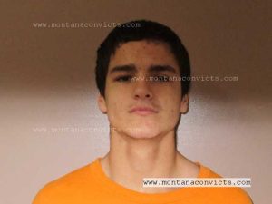 Trace T Vielle - 3032220