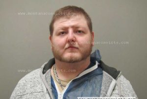 Dohnavin Brook Stanley - 3032281