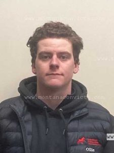 Oliver Temple - 3032371