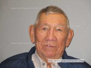 Melton NMN Spotted Bear - 3032482