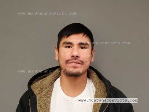 Sean Matthew Standing Soldier - 3032538