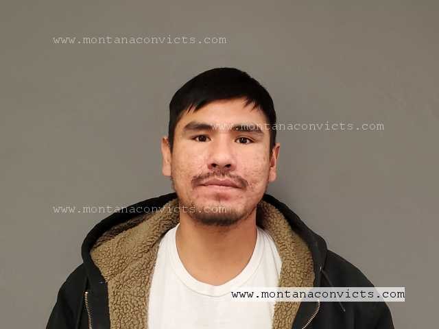 Sean Matthew Standing Soldier - 3032538