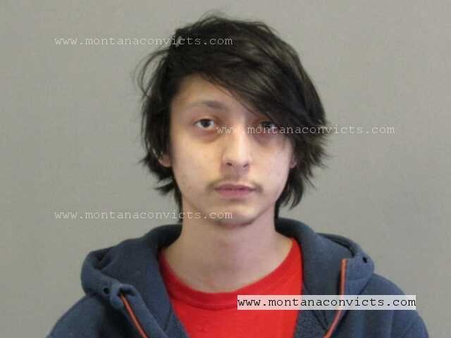 Andrew Frickel - 3032628