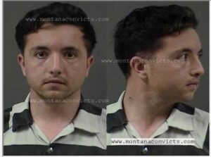 Alexandre Zdenek Davis - 3032725