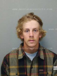 Dalton Brown - 3032785