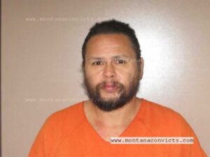 Gordon Louis Strange Owl - 3032848