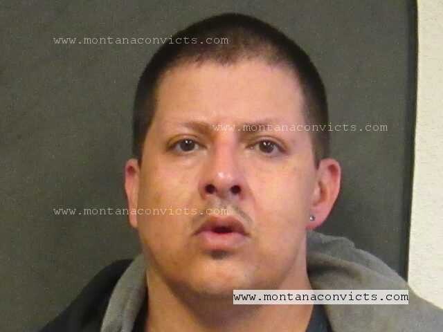 Emerald Jay Comesatnight - 3032857