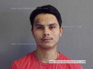 Stoney Boyer Aragon - 3033109