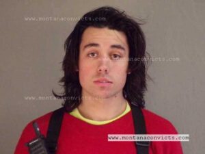 Grason Sage Lamb - 3033199