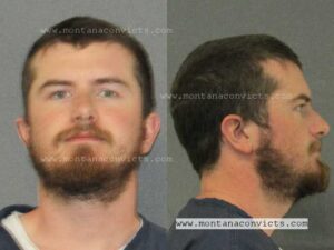 Falken Magnus Brown - 3033275