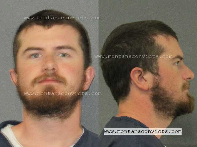 Falken Magnus Brown - 3033275