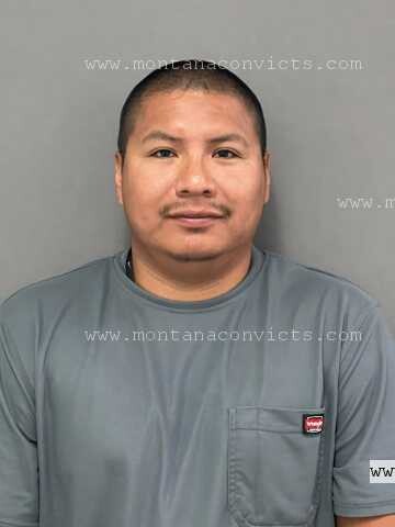 Nikolas Cody Nightwalker - 3033318