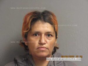 Regina Mary Healy - 3033355