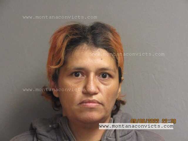 Regina Mary Healy - 3033355