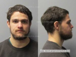 Tyler William Matthew Harris - 3033381