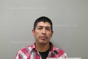 Sheldon Reese Comesatnight - 3033453