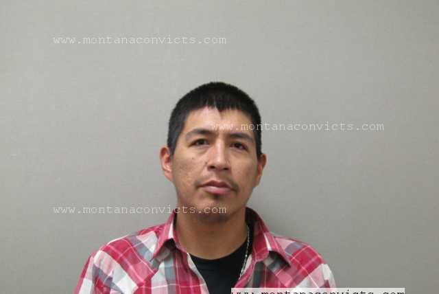 Sheldon Reese Comesatnight - 3033453