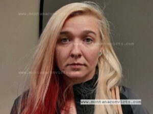 Niki Porter - 3033463