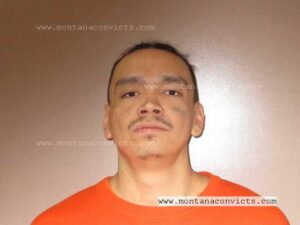 Dalton David Wetsit - 3033515