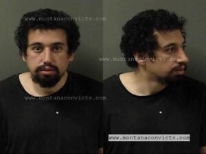 Moein Aghdasi - 3033566