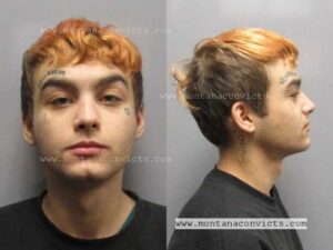 Tommy Lee Haynes - 3033627