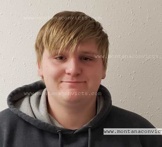 Dalton Michael Williams - 3033630