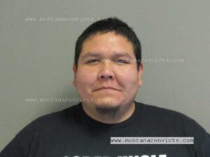 KC Cole Stump - 3033711