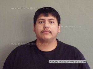 Ramzie R Conway-Hairybull - 3033724