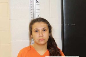 Melissa Ann Henderson - 3033730