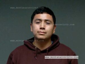 Brennon Daylon Sleuth - 3033733