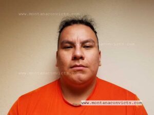 Derek Dexter Shoulderblade - 3034303