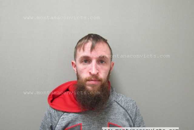 Matthew Ryan Dipinto - 3020559