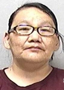 Teeka Lynn American Horse - 3020599